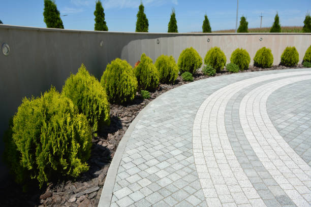 Best Concrete Paver Driveway  in George West, TX